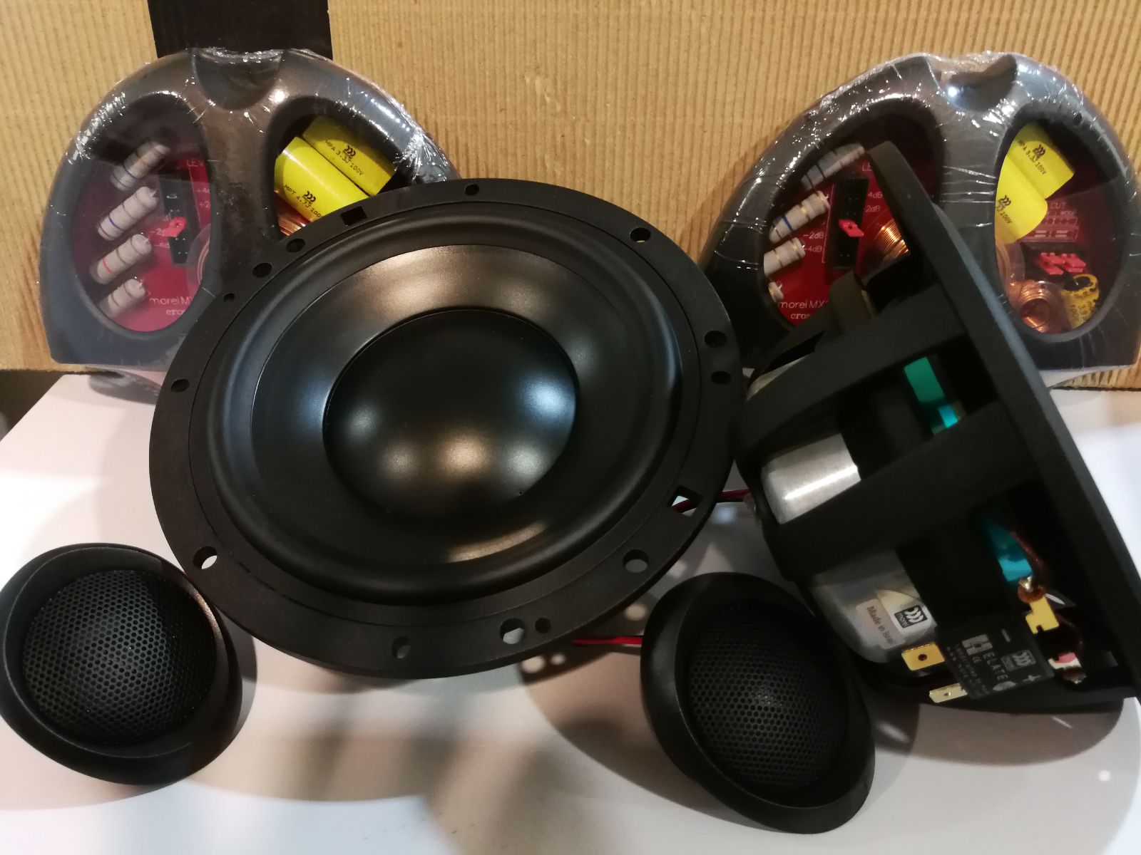 MOREL ELATE 602 -
