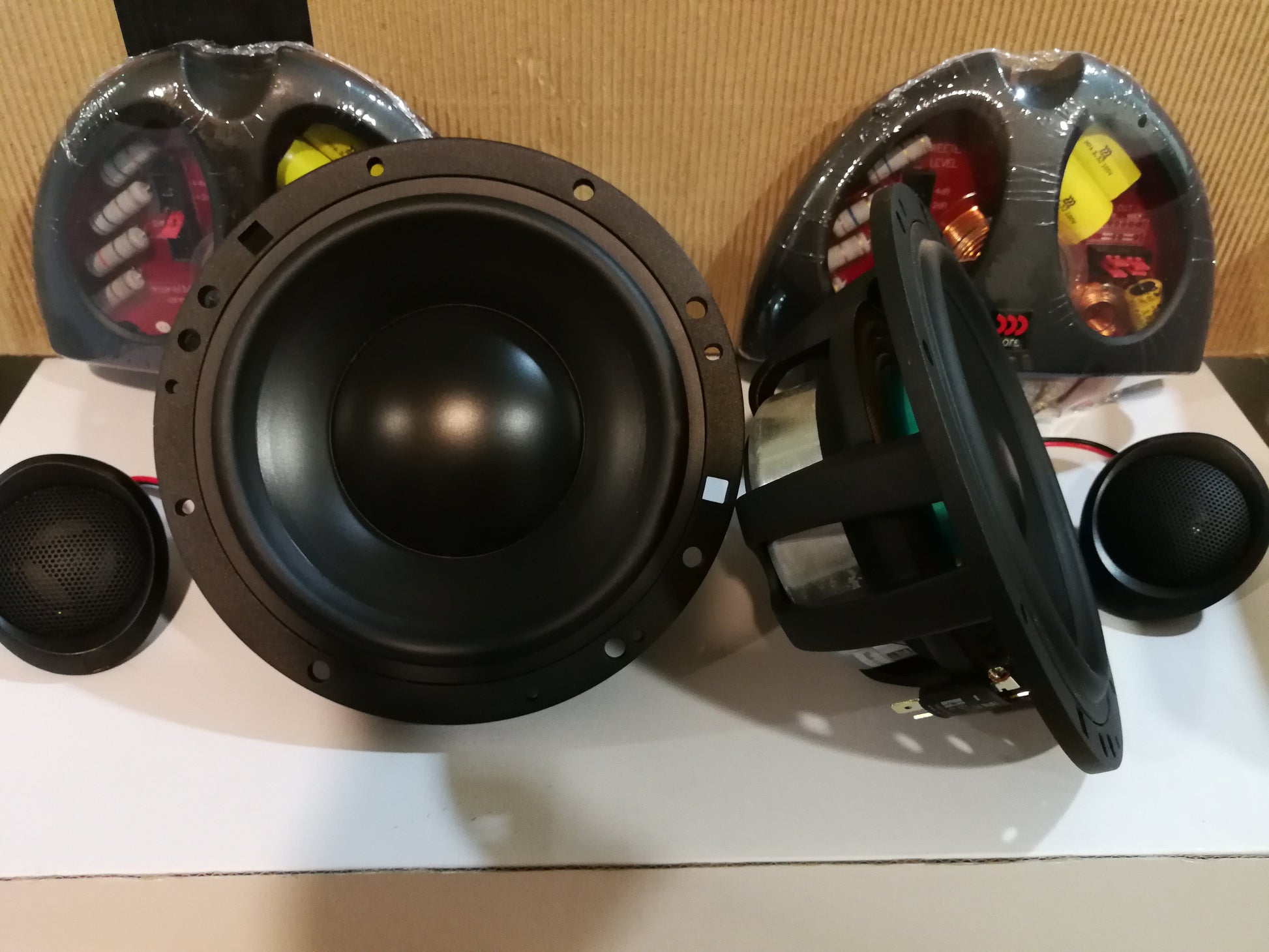 MOREL ELATE 602 -